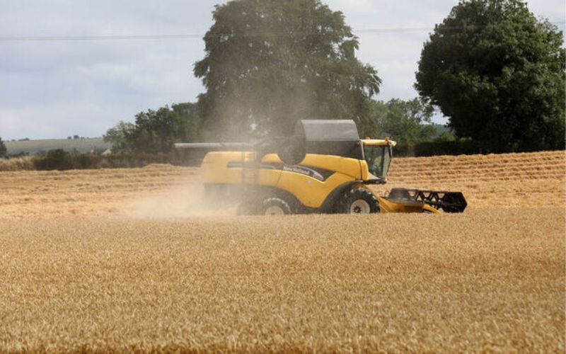 Ireland's farmers demand an emergency meeting over recent drought