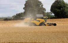 Ireland's farmers demand an emergency meeting over recent drought