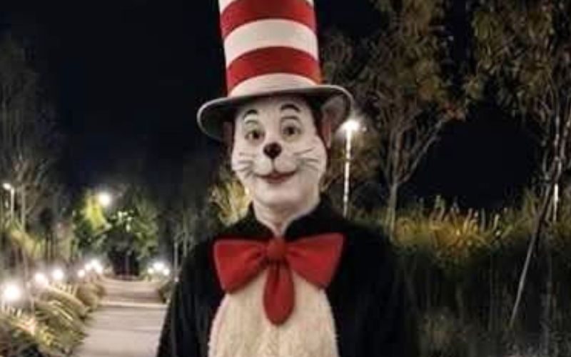 "Cat in the Hat" is not hiding out in Co Wexford, Gardaí confirm