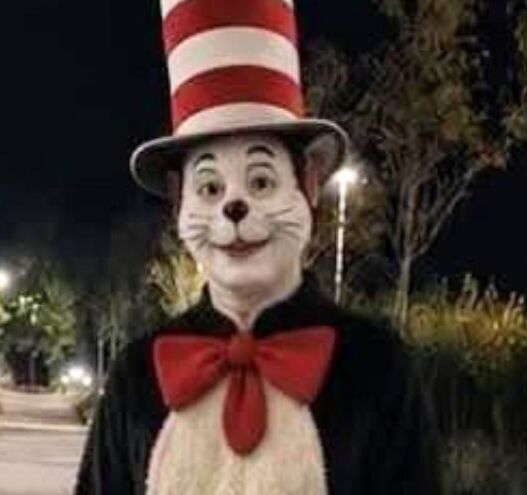 "Cat in the Hat" is not hiding out in Co Wexford, Gardaí confirm