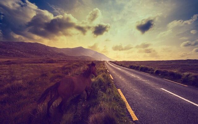 Connemara, Ireland
