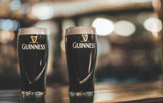 Perfect food pairings for a pint of Guinness