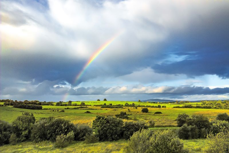 Irish blessings proverbs and toasts for St Patrick s Day Irish blessings proverbs and toasts for St Patrick s Day