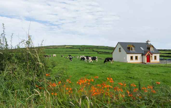 One third of Irish Americans would like to retire in Ireland