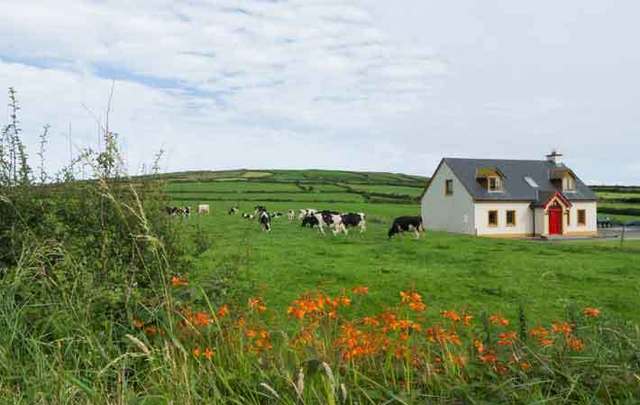 33% of Americans have considered by property in Ireland in the past decade. 