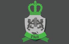 The O'Neills - Everything you need to know about the Irish family name