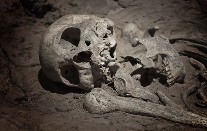 Dublin's Viking burials