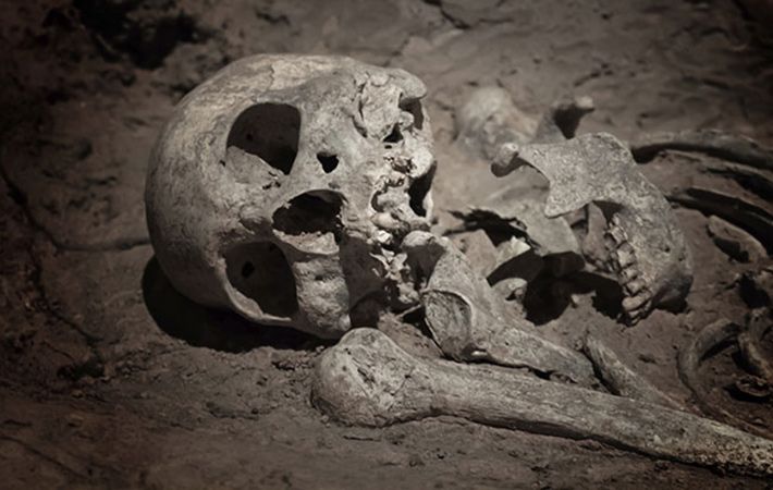 Viking warriors and treasures are buried beneath Dublin