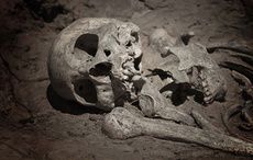 Viking warriors and treasures are buried beneath Dublin