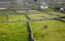 A history in Ireland's dry stone walls