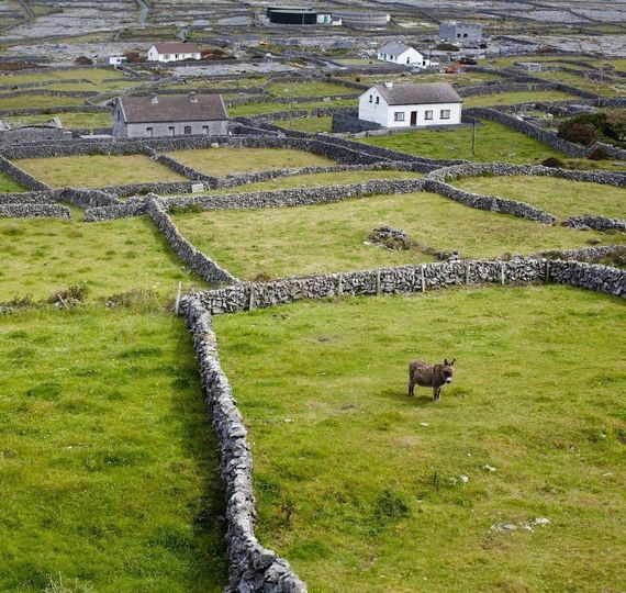 A history in Ireland's dry stone walls