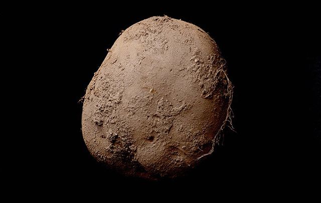 Hottest photographer in the world, Kevin Abosch, gets $500,000 per picture and sold this potato shot for a cold $1 million.