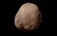 Potato photo sold for $1 million by Irish photographer