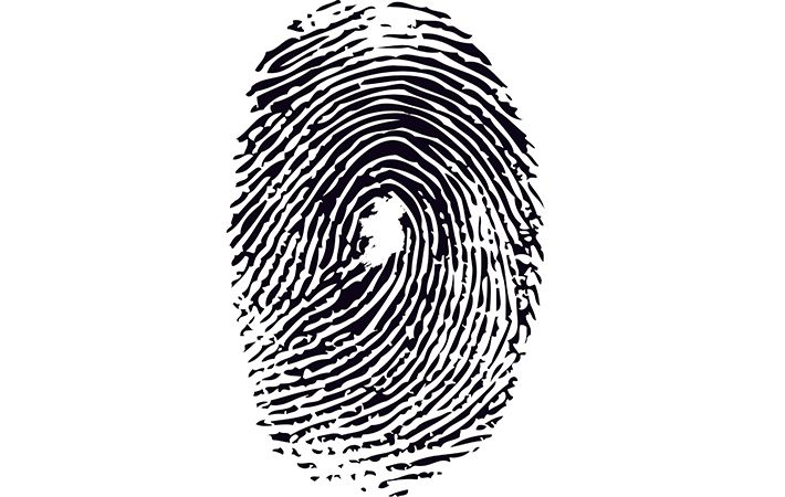 From the first immigrant at Ellis Island to the White House – the story of the Irish in America