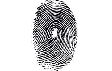 From the first immigrant at Ellis Island to the White House – the story of the Irish in America