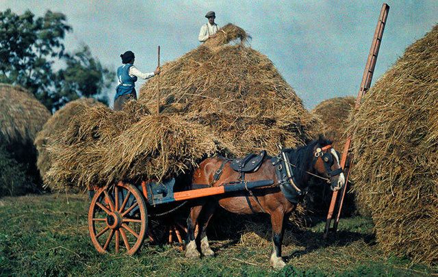 Farmers stack hay on their farm in County Cork.