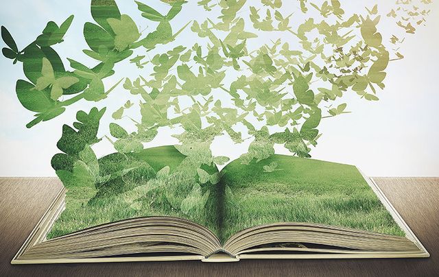 Open book with green paper butterflies coming out Open book with green paper butterflies coming out