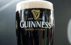 Did you know Guinness trademarked the harp symbol long before the Irish Government did?