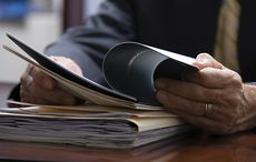Panama Papers snare former FG strategist and bankrupt developer