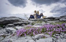 Ancient Burren settlement offers fascinating glimpse into Ireland’s past