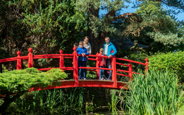 Pay a visit to Ireland’s cutest foals and take a stroll through the “Life of Man” in the Japanese Gardens.