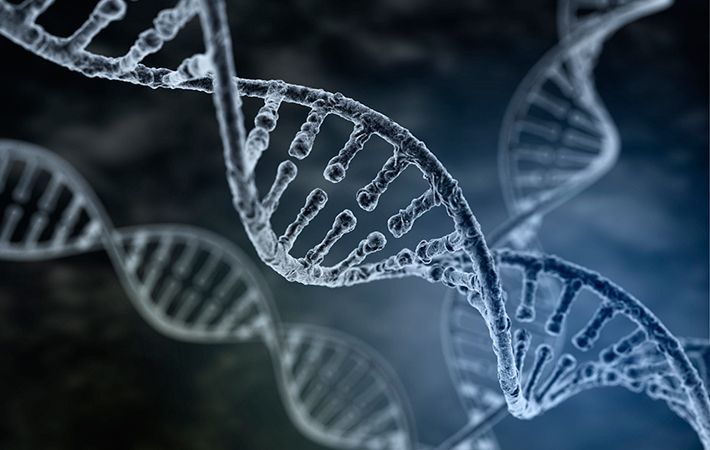 The surprising origins of the Irish - from Russia to the Middle East 