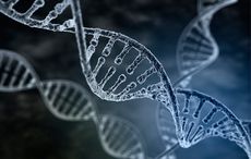 The surprising origins of the Irish - from Russia to the Middle East 