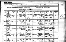 Millions of Irish birth, marriage, and death records available for free online