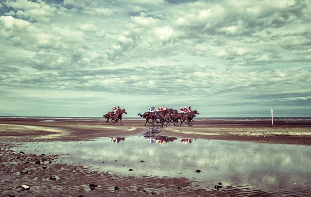The unforgettable Laytown Strand Races.