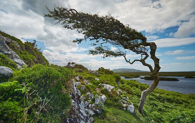 There are an estimated 2,000 speakers of Gaelic in Nova Scotia who hope to build links with the Irish Gaeltacht in Connemara, pictured here.