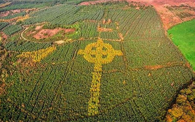 Origins of the giant Celtic cross shape in a Donegal forest