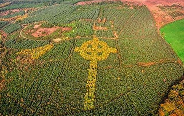 The moving origins of the giant Celtic cross in a Donegal forest