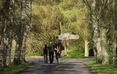 The top five places to visit in County Kildare