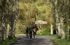 The top five places to visit in County Kildare