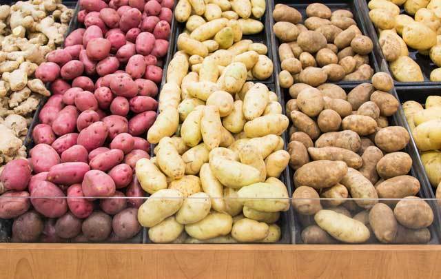 Two new types of genetically modified potatoes, which are resistant to late blight, have been approved for commercial planting by the U.S. Dept. of Agriculture.