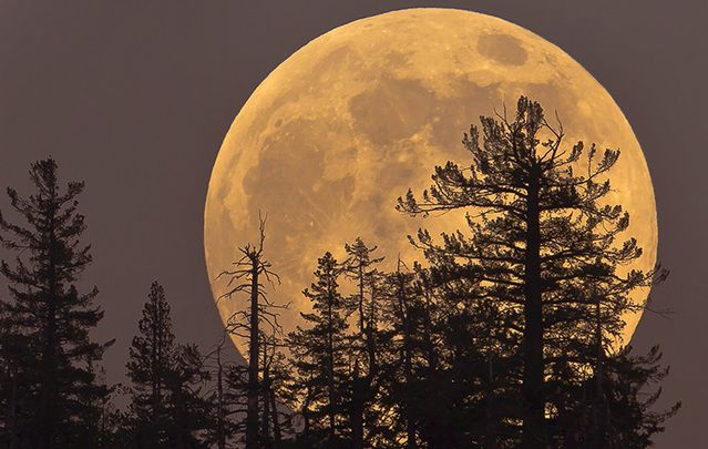 Crowds worldwide treated to the largest moon in almost 70 years.
