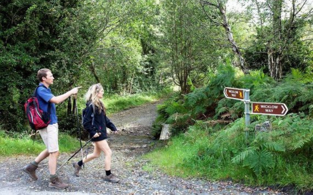 Walking the Wicklow Way