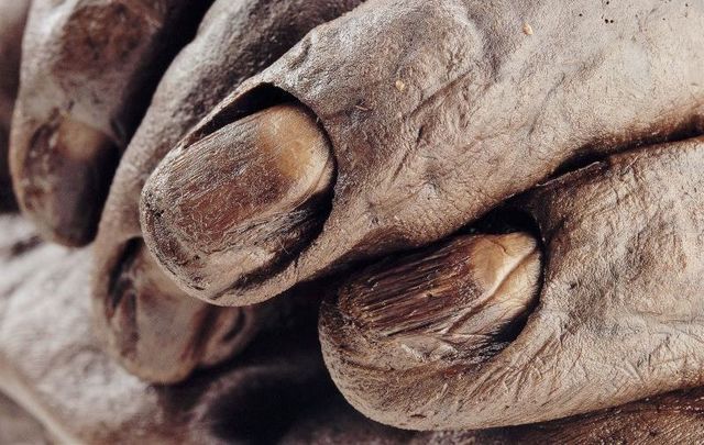 An up-close picture of Old Croghan Man, a bog body that was discovered in Ireland.