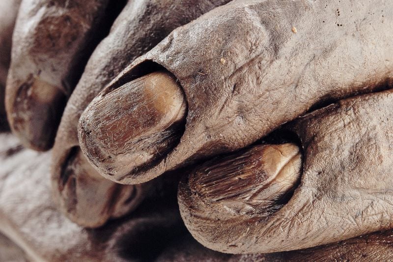 The truth about Irish bog bodies