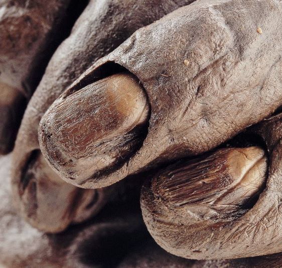 The truth about Irish bog bodies