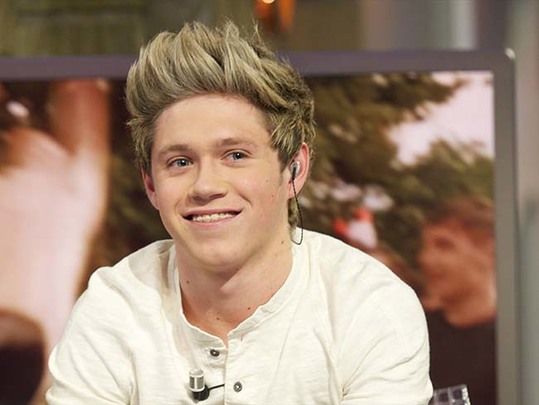 Niall Horan is not happy about Donald Trump.