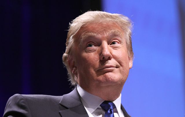 Some of the most fraught reaction to Trump has come from the more "intellectual" end of the media spectrum in Ireland, with several writers almost having nervous breakdowns in print. To these emotionally incontinent scribes all we can say is calm down, it's not going to be that bad.