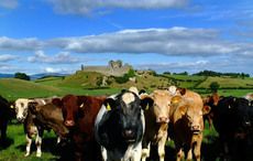 The top five places to visit in County Louth