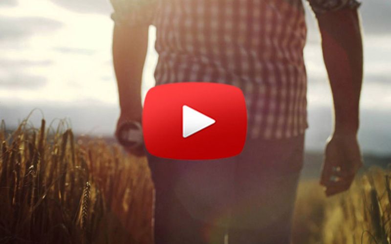 Guinness brewers give an insight into Irish barley and its farmers (VIDEO)