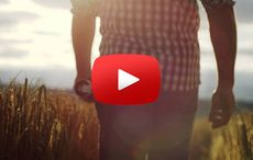 Guinness brewers give an insight into Irish barley and its farmers (VIDEO)