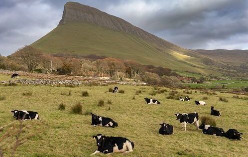 You will get more interest and responses here than all paid dating sites combined! Ireland and New Zealand, so come meet and chat with other Sligo singles Online Dating in Sligo for Free - sil0.co.uk