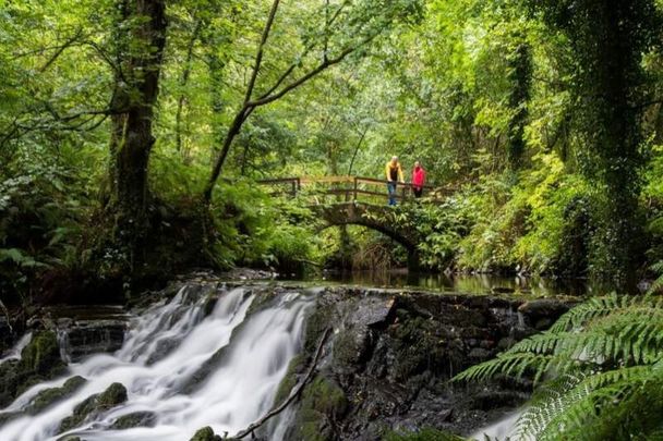 Rabbit Bridge, Dun a Rí Forest Park, Kingscourt, Co Cavan