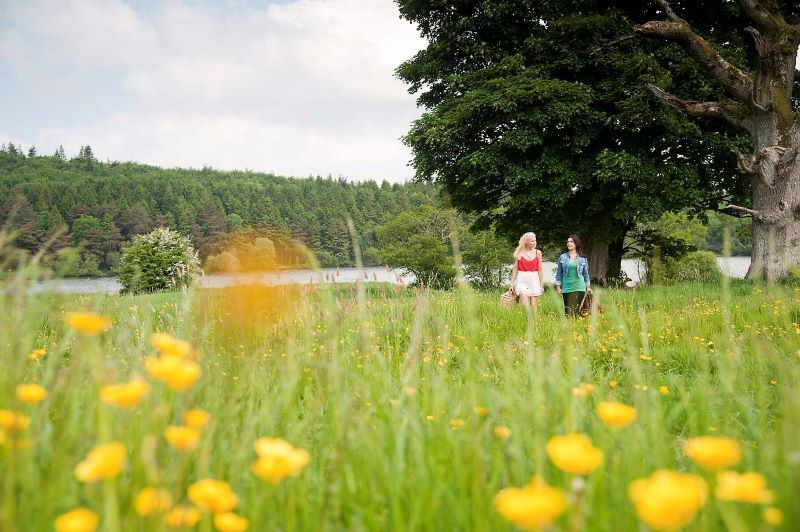 The top five places to visit in County Monaghan