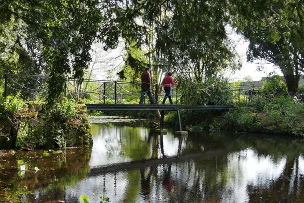 A stroll through Altamont Gardens in Co Carlow.