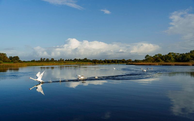 Top five places to visit in County Longford